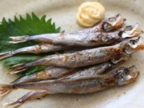 ししゃも(5本入り)547円