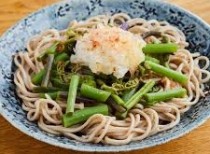 冷やし山菜おろしそば(麺つゆ)(30人前～)　予約制